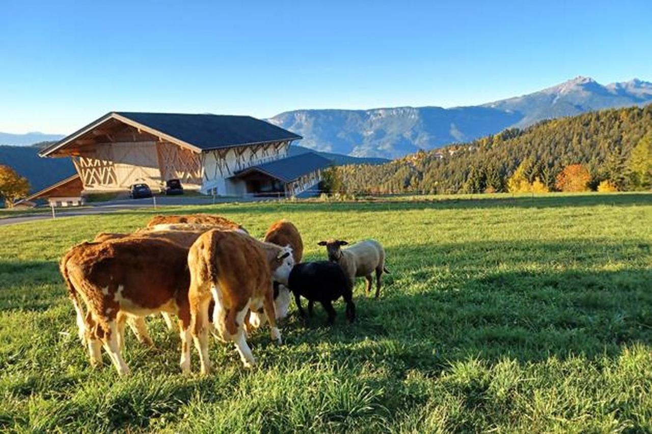 Haughof Apartement Lärchenweide Verano Bagian luar foto